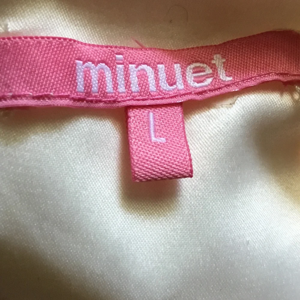Minuet Petite Light Pink Lace Party Dress